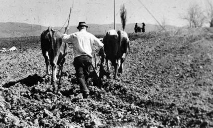 La vecchia Mafia: la storia di Don Lollò, l'uomo che entrò nella bara da morto per uscirne vivo