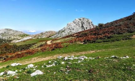 Nasce l'Associazione Zone Franche Montane della Sicilia