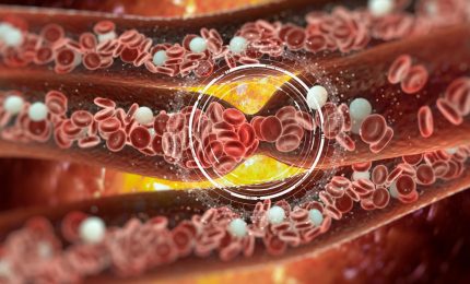 Palermo, morta docente del Don Bosco. Era stata ricoverata 7 giorni dopo aver fatto il vaccino anti-Covid