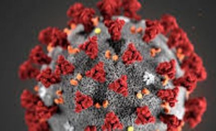 Ci&ograve; che scriviamo da un anno si sta verificando: con i migranti arrivano in Sicilia le varianti del virus/ SERALE