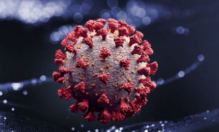 Brescia, isolata la variante nigeriana del Coronavirus. Si teme la resistenza ai vaccini anti-Covid