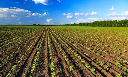 Vogliono scippare i terreni agli agricoltori siciliani per realizzare impianti fotovoltaici