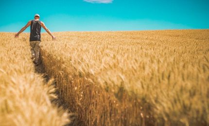 Agricoltura, via al bando per la promozione dei prodotti siciliani di qualit&agrave; certificata