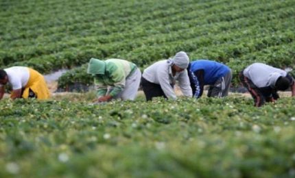 Il 5 Maggio a Roma manifestazione dei braccianti agricoli contro il Governo Draghi