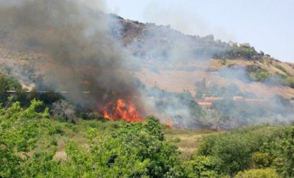 E' arrivato il caldo, ma nei boschi siciliani non ci sono né opere di prevenzione del fuoco, né operai forestali! E se arriva una sciroccata?