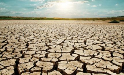 Attiva Sicilia al Governo Musumeci: "Bloccare le richieste di impianti fotovoltaici sui terreni agricoli della Sicilia"