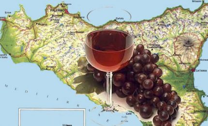 Santo Bono e Pino D'Angelo: "L'uso dello zucchero di barbabietola nella produzione dei vini è quanto di più scorretto esista nel settore"