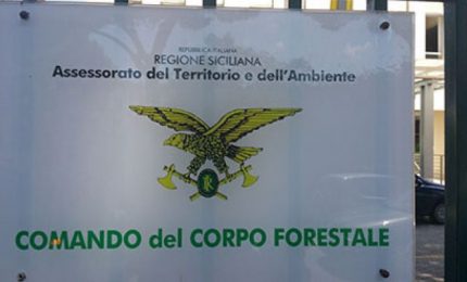 Corpo Forestale della Regione siciliana: i forestali non danno fuoco ai boschi, anzi spengono gli incendi