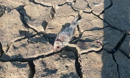 Svuotamento diga Sciaguana: Consorzio di Bonifica di Enna, Autorit&agrave; di bacino e Dipartimento Acqua e Rifiuti non sanno nulla. Ma allora che &egrave; successo?