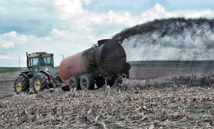Fanghi in agricoltura: ricordiamoci che i prodotti agricoli del Nord inquinato arrivano nel Sud e in Sicilia/ MATTINALE 489
