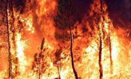 Campagna antincendio della Regione siciliana: non &egrave; vero che partir&agrave; in anticipo, il 3 Giugno &egrave; gi&agrave; tardi!