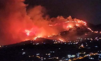 Incendi nei boschi della Sicilia: il Sifus annuncia una raffica di querele al Governo regionale in tutte le Procure siciliane
