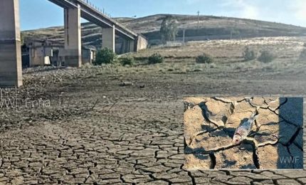 Il mistero del "lago scomparso". Chi ha 'inghiottito' l'acqua della diga Sciaguana di Agira?/ MATTINALE 485
