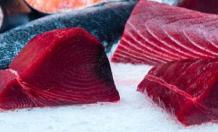 Maggio &egrave; il mese in cui si comincia a portare in tavola il tonno. Qualche consiglio per evitare la 'sindrome sgombroide'