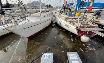 Acqua stagnante e liquami alla Cala. Comune e Autorità portuale sanno qualcosa? 10 terribili foto/ PALERMO-CITTA' 90