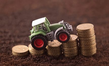 Contributi previdenziali in agricoltura: sospesi i pagamenti in attesa di calcolare la quota di esonero