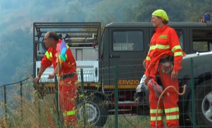 Stabilizzazione dei lavoratori forestali, adesso anche il Governo di Nello Musumeci d'accordo