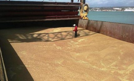 Tre navi cariche di grano a Pozzallo (per lo più canadese). Crolla il prezzo del grano duro siciliano (da 25 euro a 21-22 euro/quintale)