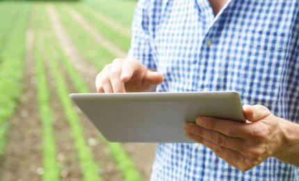 Il 'regalo' del Governo Draghi agli agricoltori: gli oneri contributivi oggetto di sgravi dovranno essere pagati per intero