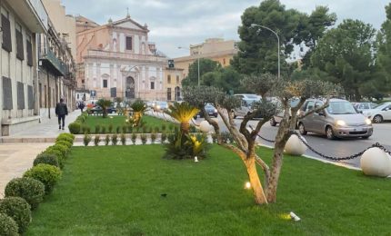 Covid & dintorni/ Modesta proposta: vacciniamo le piante al posto delle persone/ MATTINALE 502