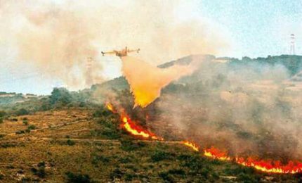 Lo hanno capito i politici siciliani che con l'incendio della valle dell'Anapo è a rischio la più estesa necropoli d'Europa?