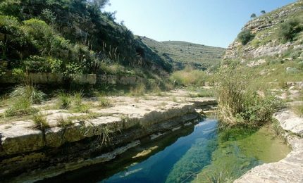 La Regione siciliana ha autorizzato oltre 100 ettari di pannelli fotovoltaici nel Parco Ibleo. Siamo alla follia!/ MATTINALE 492