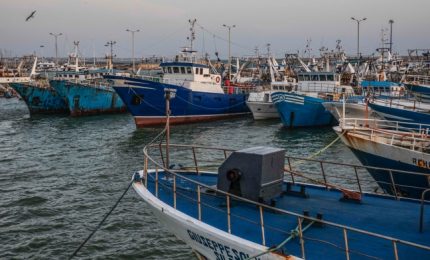 Franco Calderone: "Ue, Stato italiano e Regione siciliana stanno distruggendo le attività di pesca della nostra Isola"