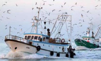 Draghi e Di Maio in Libia tutelano gli interessi delle industrie del Nord, ignorando le esigenze dei pescatori siciliani