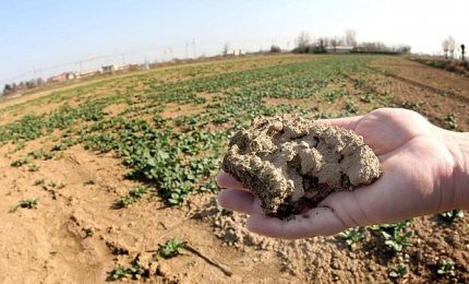 ... e dopo Comuni siciliani e operai forestali 'attumbuliarono' anche i Consorzi di Bonifica senza soldi (e senz'acqua) SERALE