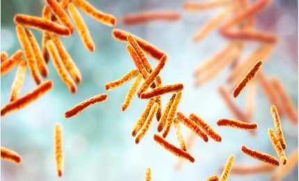 A proposito dello scritto che circola sulla rete sul virus SARS-COV-2 che non replicherebbe nei vaccinati: ma è così?/ SERALE