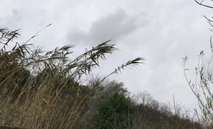 Scippo FEARS a Sud e Sicilia: alla buon'ora si sveglia la CIA siciliana, ma solo per dire cose ovvie, per giunta a scoppio ritardato/ SERALE