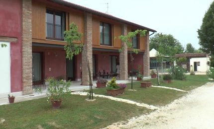 Luci e ombre per l&rsquo;estate 2021 negli agriturismi