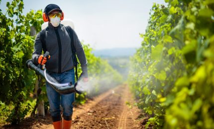 Vertice delle Nazioni Unite sui sistemi alimentari. Santo Bono: "Demagogia allo stato puro e offesa all'intelligenza"