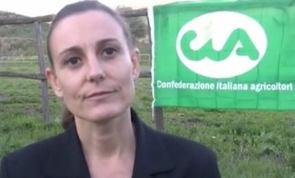 Incendi e danni all'agricoltura siciliana, Rosa Giovanna Castagna (Cia): "Anticipi Pac ad agricoltori e allevatori"