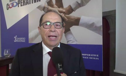 Apicoltura siciliana, Felice Coppolino (Unicoop): "Si intervenga a tutela del settore con il Psr"