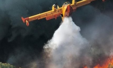 Boschi siciliani a fuoco: quando la presunzione con la ragion contrasta, vince la presunzione e la ragion non basta/ MATTINALE 520