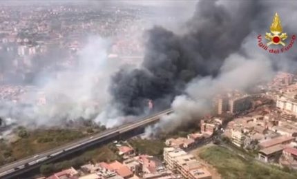 Il fuoco in Sicilia (e non soltanto in Sicilia): E se dietro ci fosse qualche setta di fanatici terroristi dell'ambiente?/ MATTINALE 541