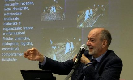 Le morti di Viviana Parisi e del piccolo Gioele: alcune precisazioni del criminologo Carmelo Lavorino