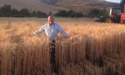 Chi è che specula sui produttori di grano duro della Sicilia? Agostino Cascio chiama in causa la politica e fa nomi e cognomi (VIDEO)