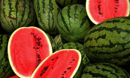 Annata disastrosa per meloni e angurie: in Lombardia hanno scoperto la globalizzazione dell'economia...