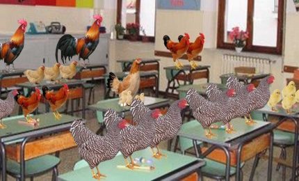 Sicilia: la scuola riaprirà con le classi-pollaio, vaccini anti-Covid per tutti. Ci credete alla riapertura a Settembre? Noi no