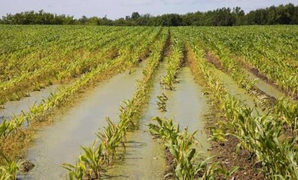 Alluvione 2018/ La Regione siciliana beffa gli agricoltori: su 100 mila euro di danni doveva rimborsare l'80%, ma darà solo 6 mila euro!
