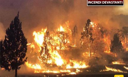 Incendi in Grecia, in Turchia e di nuovo in Siberia e in California: ma che sta succedendo nel mondo?