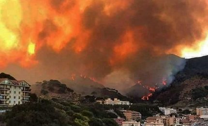 Franco Calderone (ET): "In Sicilia 78 mila ettari di boschi inceneriti. Gli assessori Scilla e Cordaro vadano a casa"