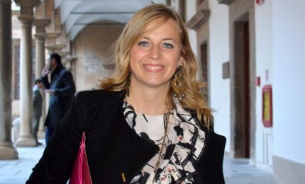 Cinghiali e daini: onorevole Palmeri, oltre a criticare il Governo fornisca soluzioni alternative (e non dimentichi l'agricoltura!)/ SERALE