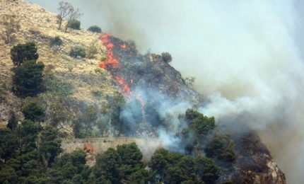 Incendi: Petralia Soprana e Monte Pellegrino (Palermo) abbandonati