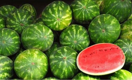 Un Kg di anguria costa meno di un litro di acqua! Il paradosso della globalizzazione applicato all'agricoltura