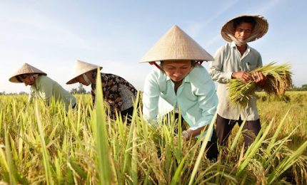 Se la Cina acquister&agrave; grano prezzi all'ins&ugrave; mentre in Canada "razionamento della domanda"
