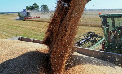 Conferme per la riduzione dell'export di grano russo mentre non ci sono problemi in Argentina