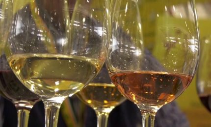 Qualit&agrave; e tutela: le parole d'ordine del Vinitaly